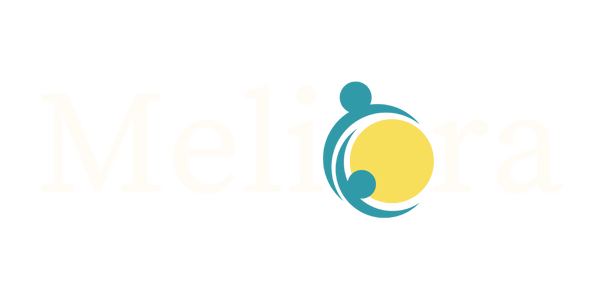 Meliora Support Services