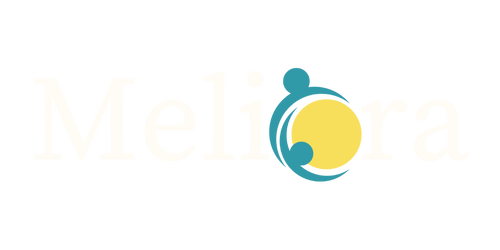 Meliora Support Services Ltd logo
